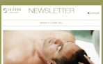 Shizuka NY Day Spa May 2012 Newsletter Father's Day Specials